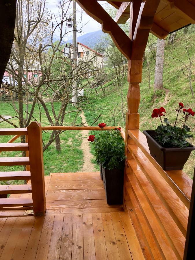 Villa Domeniul Horj Casa Din Cires Moisei Exterior foto
