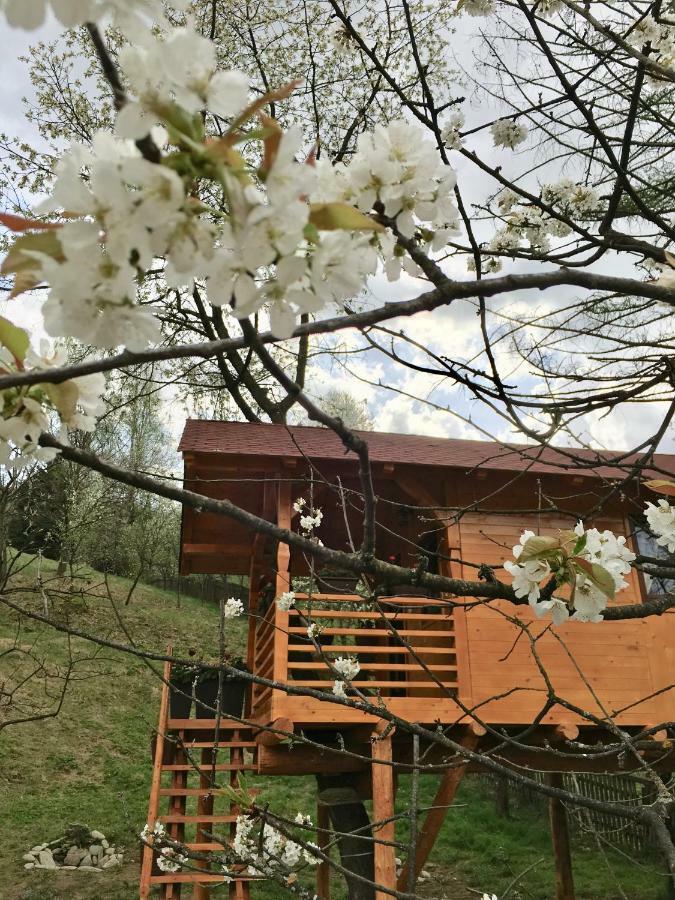 Villa Domeniul Horj Casa Din Cires Moisei Exterior foto